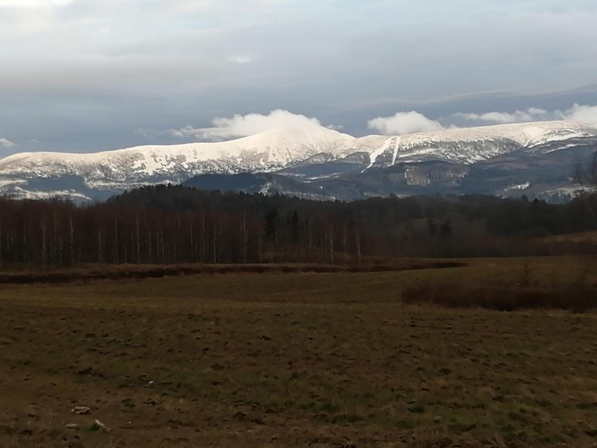 Ferienwohnung Apartament Zielone Wzgorze Jelenia Góra Exterior foto